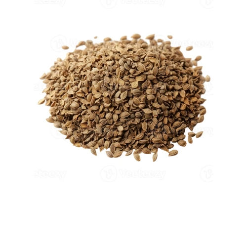 Indian ajwain carom seeds for export