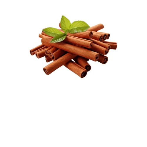 Indian cinnamon sticks for global export