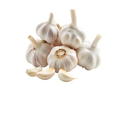 Dehydrated Indian garlic for food industry